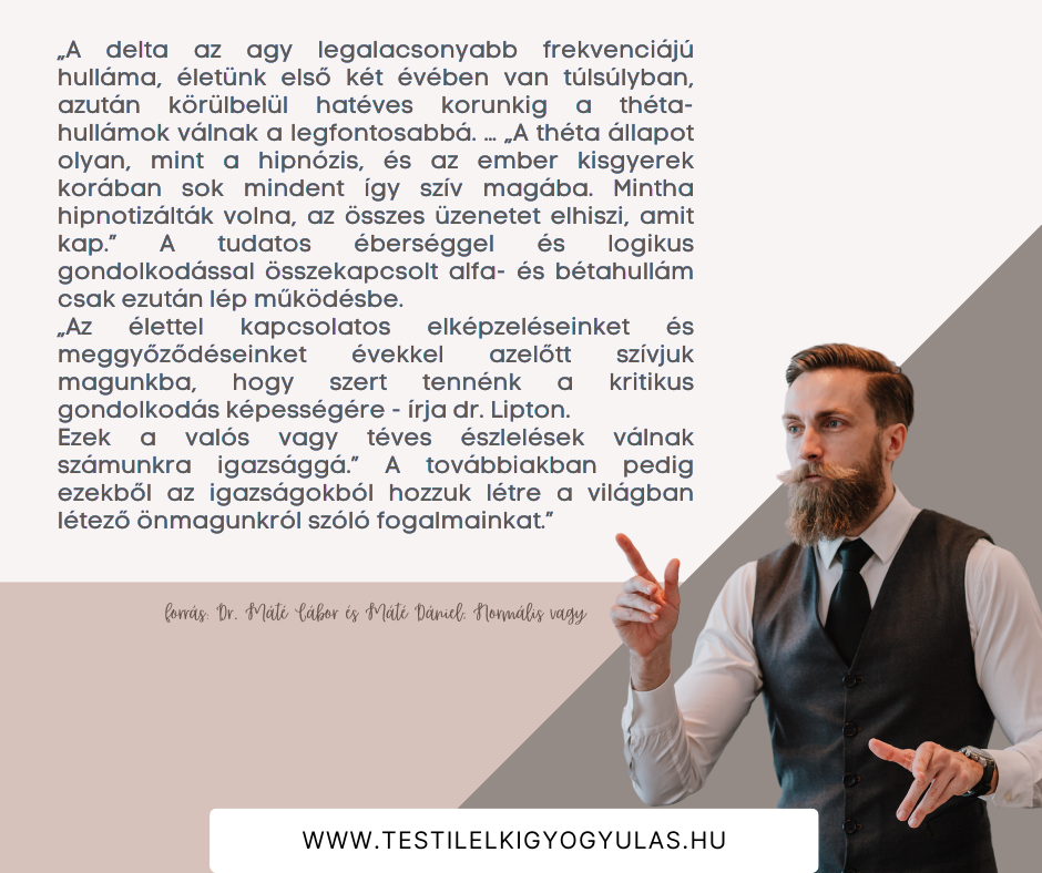 Jókönyvek #15