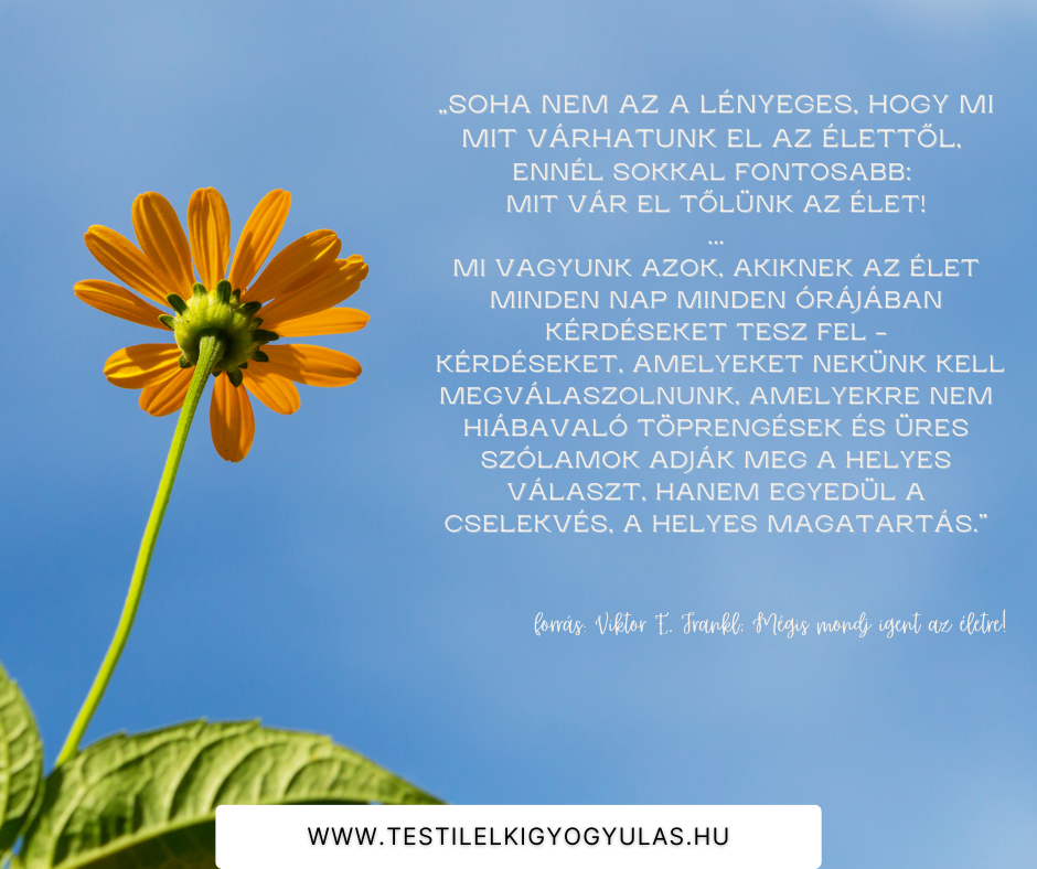 Jókönyvek #4
