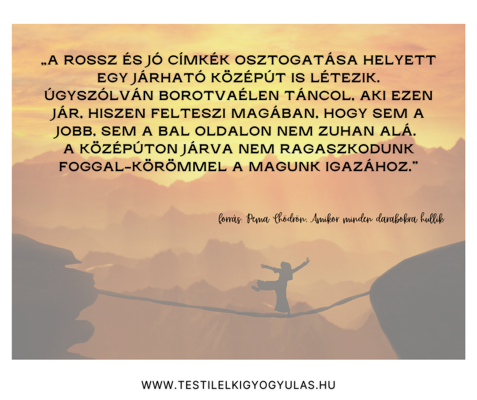 Jókönyvek #5
