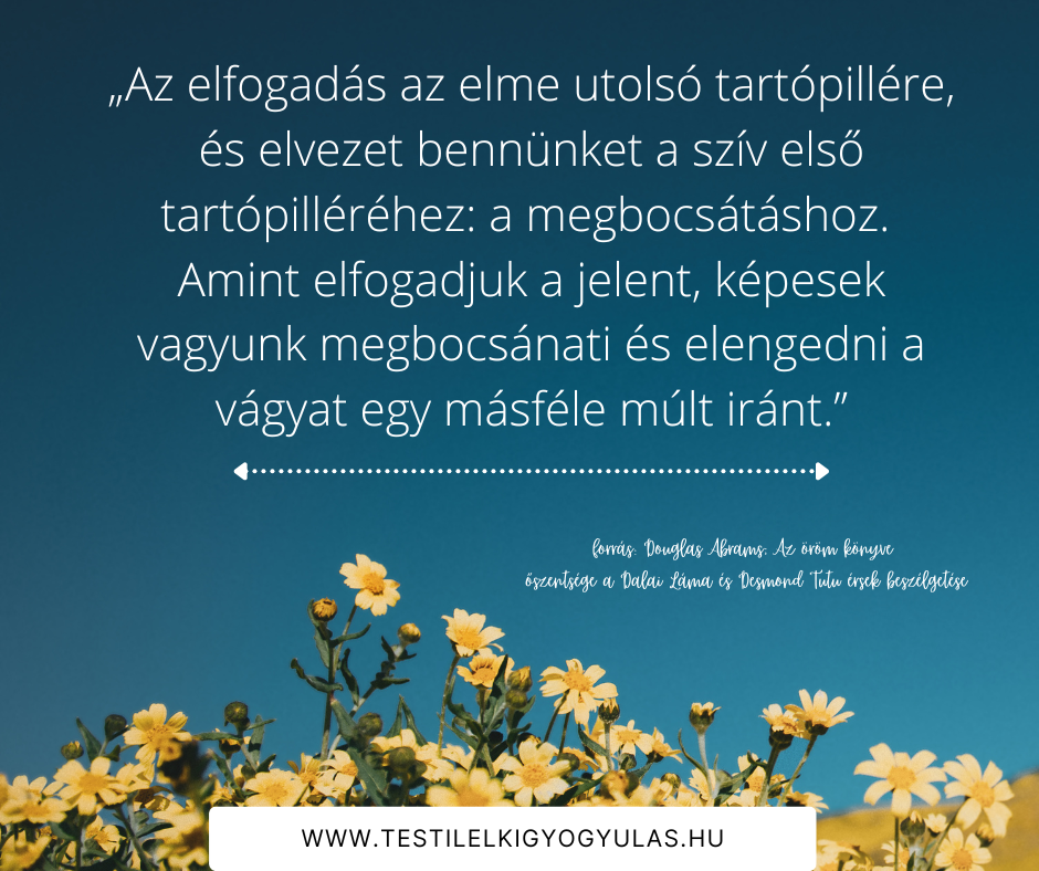 Jókönyvek #8